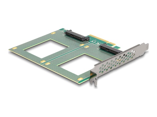 [90162] Delock Speicher-Controller - Gabelung, 144