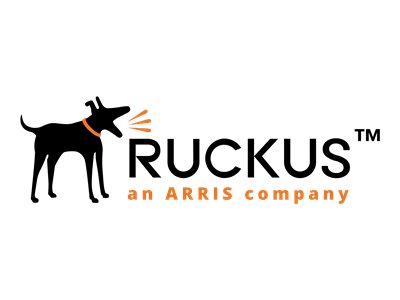 [RPS9DCE] Ruckus Netzteil (Plug-In-Modul) - DC - 500 Watt