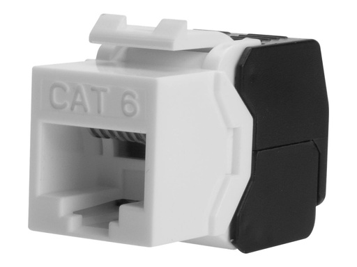 [DN-93603-2] DIGITUS Modulare Eingabe - CAT 6 - UTP - RJ-45 (Packung mit 2)