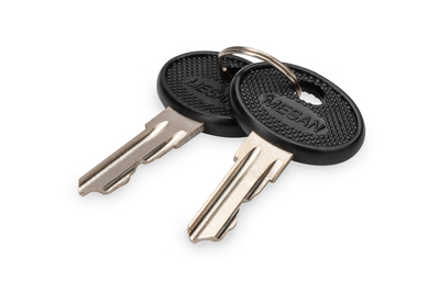 [DN-19-KEY-4444] DIGITUS Schlüssel für Wandgehäuse SOHO PRO, DN-1019, DN-DVR-1
