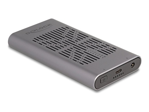 [42027] Delock Speichergehäuse - 20 Gbps, Klonfunktion
