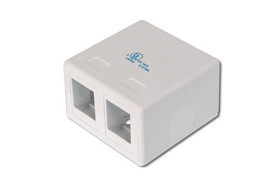 [AT-AG 302A-WH] DIGITUS Konsolidierungs-Punkt Gehäuse für 2x Keystone Module