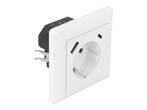[11489] Delock Steckdose - 2P+E - Typ F, USB, USB Typ-C