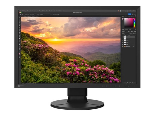 [CS2400S] EIZO ColorEdge CS2400S - CS Series - LED-Monitor - 61 cm (24")