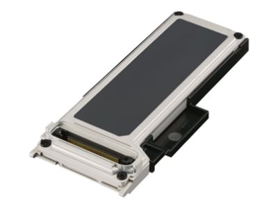 [FZ-VSDG21T23] Panasonic FZ-VSDG21T23 - SSD - verschlüsselt