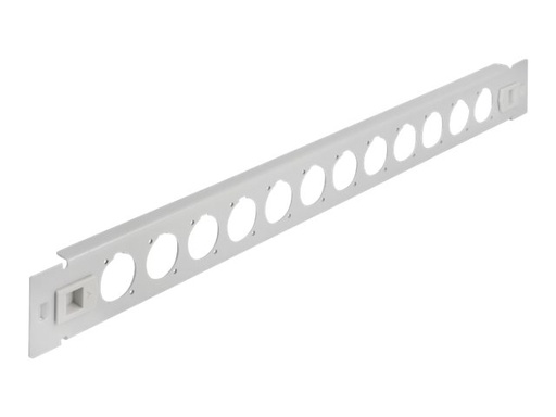 [66902] Delock Patchpanel (Blindblech) - D-Typ, werkzeugfrei - Rack montierbar - Grau - 1U - 48.3 cm (19")