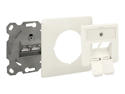 [86195] Delock Modular Wall Outlet flush mount 2 Port Cat.6A LSA