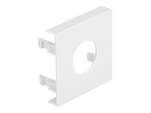 [81393] Delock Module Plate - Easy 45 - Steckdosenhalter - 45 x 45 mm, runder Ausschnitt 19,2 mm - 1 Modul - weiß (Packung mit 5)
