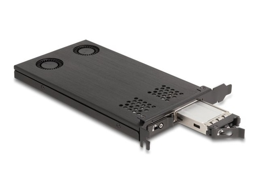 [47042] Delock Schnittstellenadapter - M.2 - M.2 NVMe