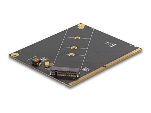 [61057] Delock Speicher-Controller - M.2 NVMe Card / PCIe 4.0 (NVMe)