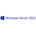 [R18-06393] Microsoft Windows Server 2022 - Lizenz - 10 Benutzer-CALs