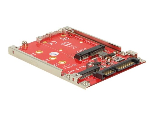 [62859] Delock Speicher-Controller - M.2 - M.2 Card / mSATA