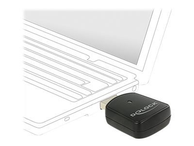[12502] Delock Wireless LAN USB Mini Stick - Netzwerkadapter