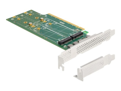 [90090] Delock Speicher-Controller - Bifurcation, 110 mm