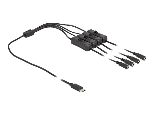 [86802] Delock Netz-Splitter - 24 pin USB-C (M) zu Gleichstromstecker 5,5 x 2,1 mm (W)