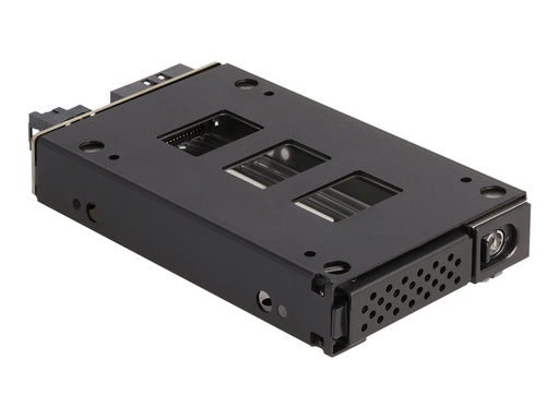 [47005] Delock Slim - Mobiles Speicher-Rack - schmaler