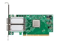 [540-BCIW] Dell Mellanox ConnectX-5 EX - Netzwerkadapter - PCIe Low-Profile