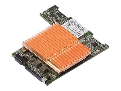 [406-10317] Dell Brocade BR1741M-k - Netzwerkadapter - 10 GigE, Fibre Channel, FCoE