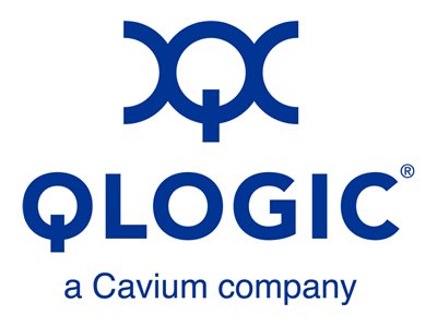 [540-BBZM] Dell QLogic 41112 - Kundeninstallation - Netzwerkadapter