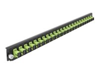 [43356] Delock Rack-Montageblech für Glasfaser-Spleißbox - Vorderseite - SC MM X 24 - hellgrün - 1U - 48.3 cm (19")