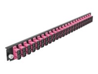 [43367] Delock Rack-Montageblech für Glasfaser-Spleißbox - Vorderseite - SC MM X 24 - violett - 1U - 48.3 cm (19")