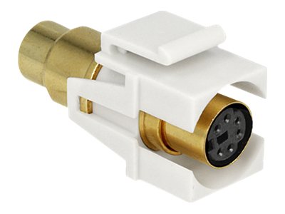 [86339] Delock Keystone module - Modulare Eingabe - PS/2