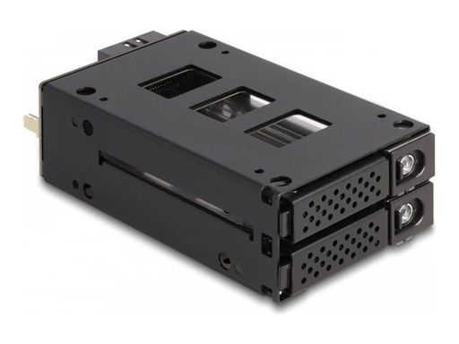 [47019] Delock Mobiles Speicher-Rack - schmaler Schacht - 5,25" bis 2 x 2,5" (13,3 cm bis 2 x 6,4 cm)