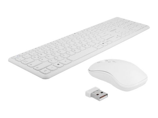 [12703] Delock Tastatur-und-Maus-Set - kabellos - 2.4 GHz