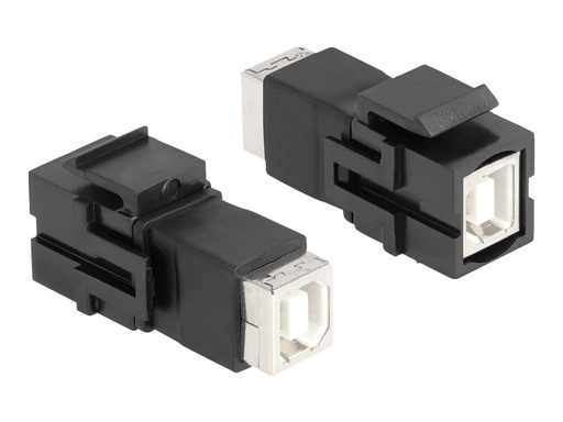 [86600] Delock Modulare Eingabe - USB Type A - Schwarz