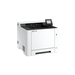 [870B6110C0H3NL1] Kyocera Ecosys PA2600cx/Plus - Drucker - Laser/LED-Druck