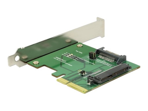 [89672] Delock Schnittstellenadapter - Ultra M.2 Card