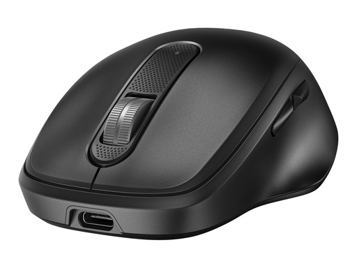 [9C2F6AA] HP 510 - Maus - Vollgröße, superschnell aufladbar - 5 Tasten - kabellos - 2.4 GHz - kabelloser Empfänger (USB)