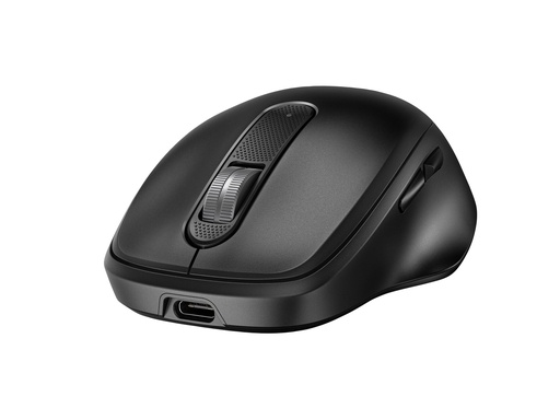 [9C2F6AA] HP 510 - Maus - vollständig, ultraschnell aufladbar - 5 Tasten - kabellos - 2.4 GHz - kabelloser Empfänger (USB)