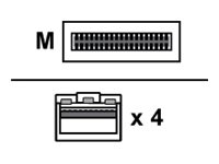 [4Z57A85044] Lenovo Breakout-Direktanschlusskabel - QSFP28
