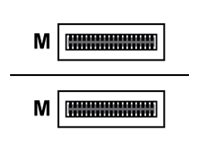 [4X97A94703] Lenovo Ethernet 100GBase-AOC cable - QSFP28 zu QSFP28 - 1 m - Glasfaser - Active Optical Cable (AOC)