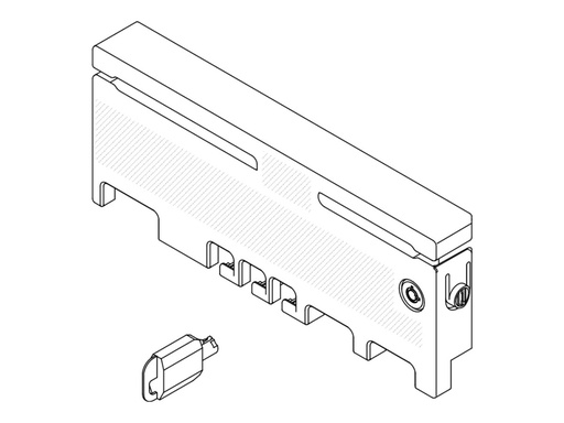 [4B37A86299] Lenovo Server-Sicherheitsblende - für ThinkEdge