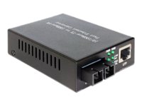 [86215] Delock Medienkonverter - 100Mb LAN - 10Base-T, 100Base-FX, 100Base-TX