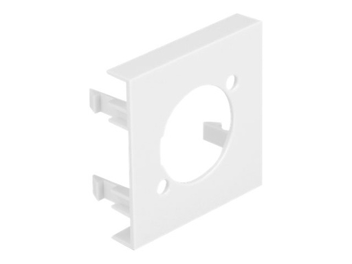 [81395] Delock Module Plate - Easy 45 - Steckdosenhalter - 45 x 45 mm, runder Ausschnitt D-Typ - 1 Modul - weiß (Packung mit 5)