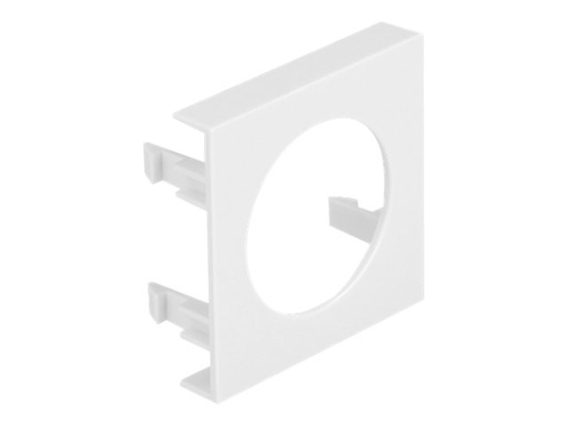 [81391] Delock Module Plate - Easy 45 - Steckdosenhalter - 45 x 45 mm, Lochausschnitt 30,2 mm - 1 Modul - weiß (Packung mit 5)