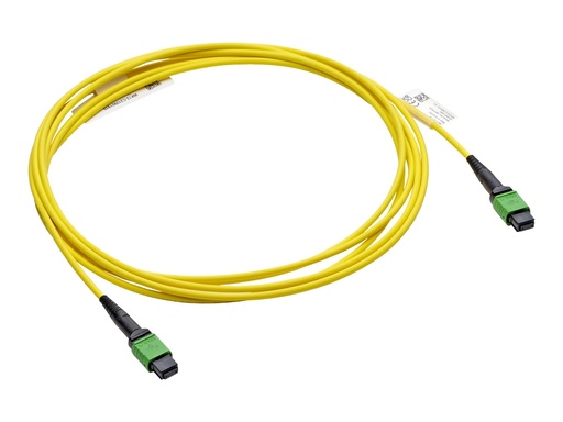 [P45731-B22] HPE InfiniBand NDR - InfiniBand-Kabel - MPO-8 zu MPO-8