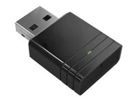 [5J.JPT28.001] BenQ Netzwerkadapter - USB - Wi-Fi - für BenQ