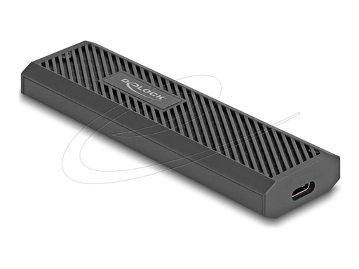 [42031] Delock Speichergehäuse - external, tool free - M.2 - M.2 Card (PCIe NVMe & SATA)
