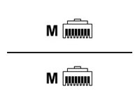 [40K8869] Lenovo IBM - Netzwerkkabel - RJ-45 (M) zu RJ-45 (M)