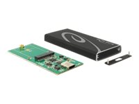 [42572] Delock Speichergehäuse - M.2 Card - USB 3.1 (Gen 2)