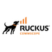 [806-R550-3000] Ruckus WatchDog Endnutzer Standalone R850