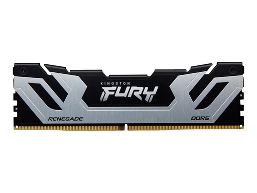 [KF588CU42RS-24] Kingston FURY Renegade - DDR5 - Modul - 24 GB