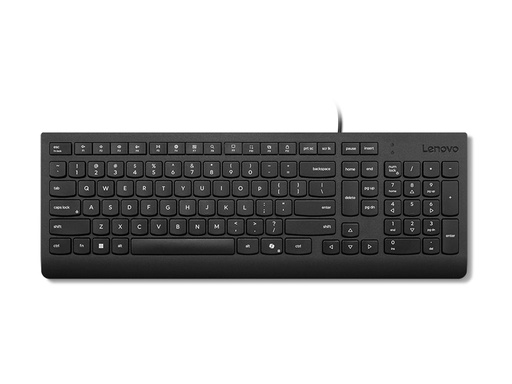 [4Y41R64664] Lenovo Essential - Tastatur - USB - Slowakisch