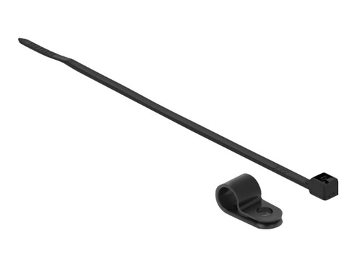 [18866] Delock Kabelbinder-Kit - 25 cm - Schwarz