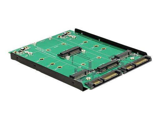 [62946] Delock Converter 2 x SATA 22 pin > Dualport 2 x M.2 / 2 x mSATA