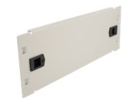 [66631] Delock Network Cabinet Blind Cover - Rack-Blindabdeckungsplatte - Grau - 2U - 25.4 cm (10")